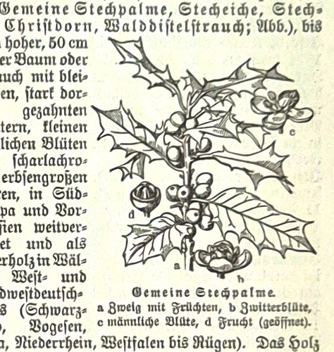 Alte lithografie gemeine - lithografie,,