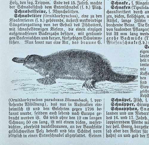 Alte lithographie - alte,