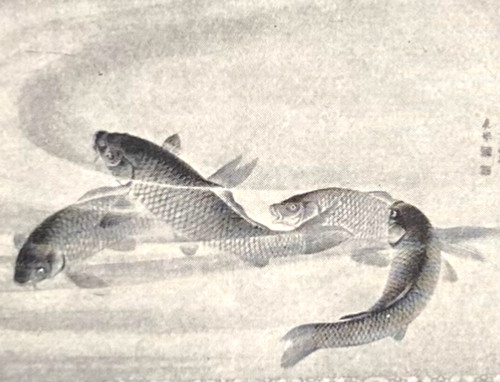 Alte lithographie japanische - alte,